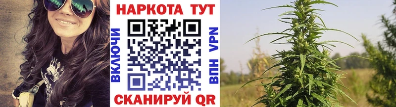 Наркошоп купить Cocaine  Бошки Шишки  МЕФ  Гашиш  Весьегонск