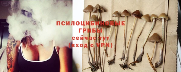 PSILOCYBIN Козловка