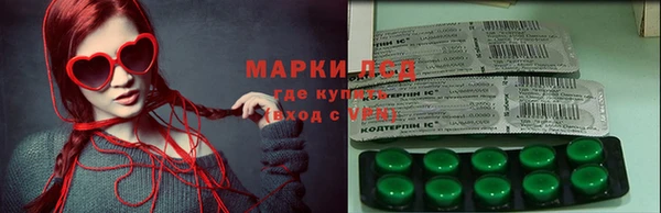 амф Кодинск