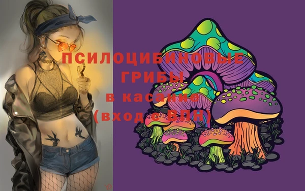 амф Кодинск